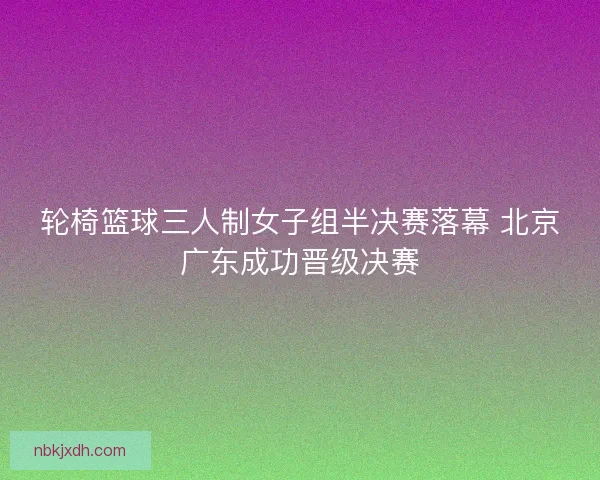 轮椅篮球三人制女子组半决赛落幕 北京广东成功晋级决赛